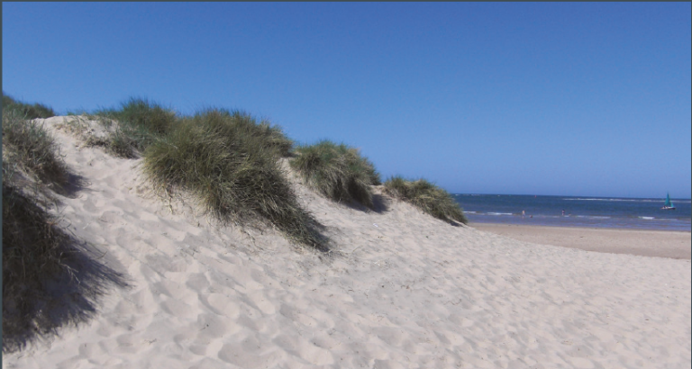 Local Area Local Area