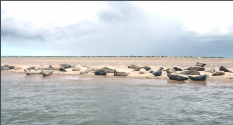 Local Area Local Area