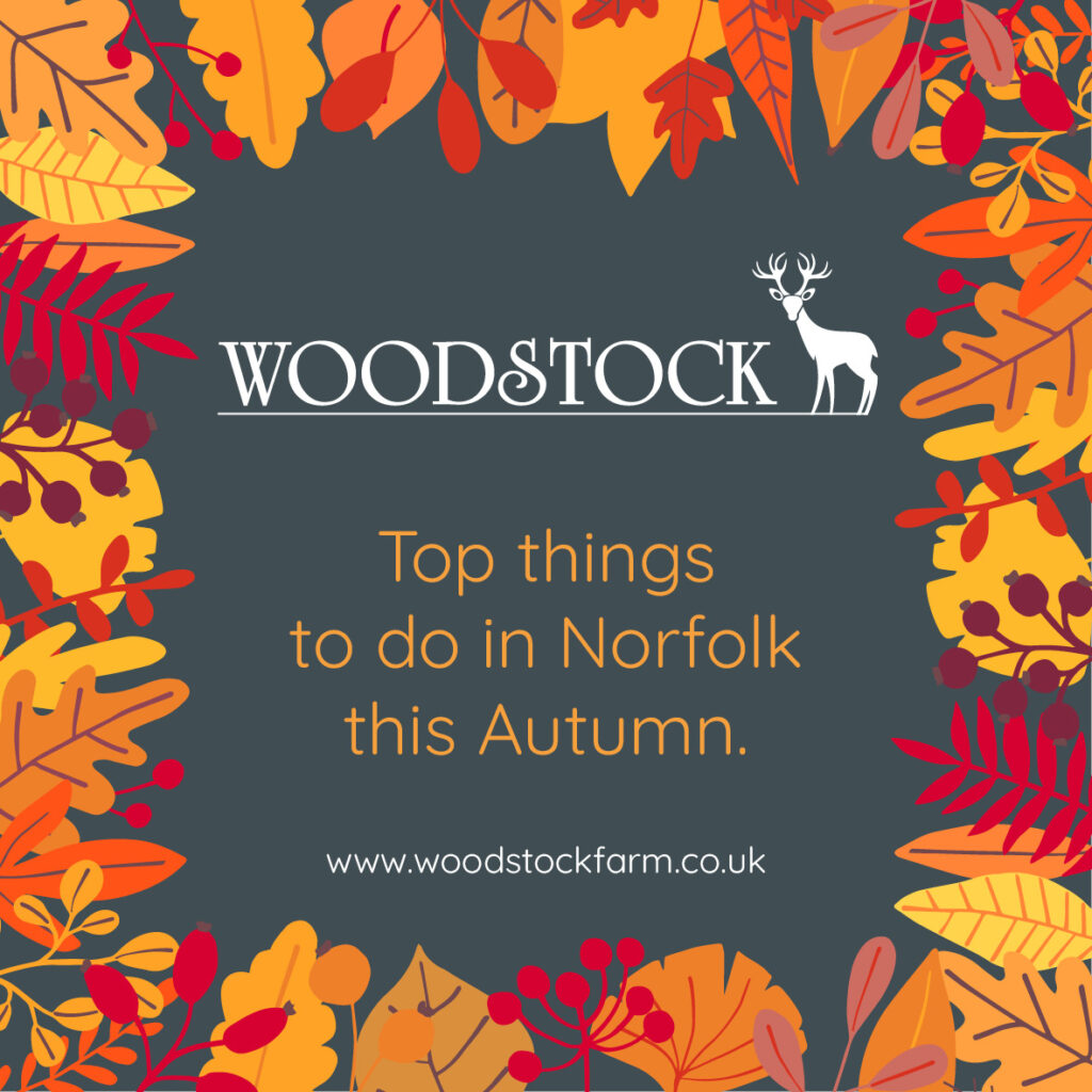 Local Area Local Area